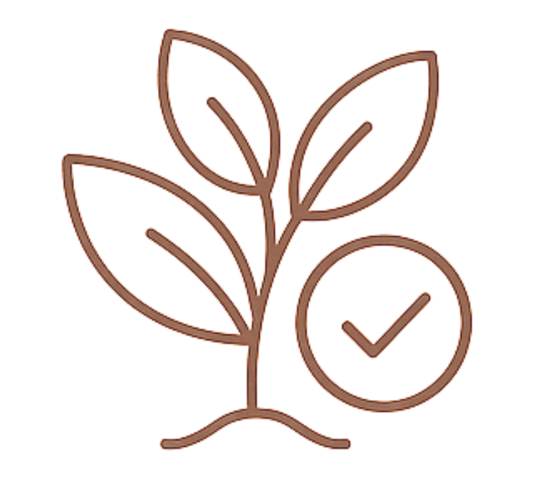 <p><strong>Echte Ergebnisse durch die Ursache</strong></p>