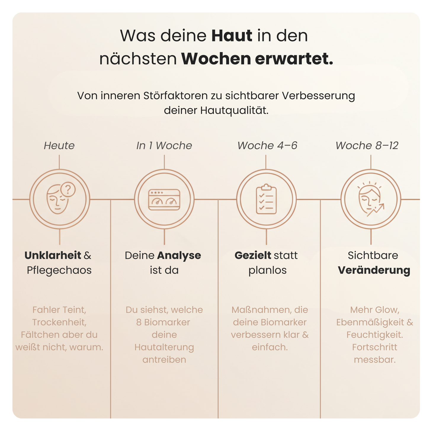 Hautalterungs Ursachen Test