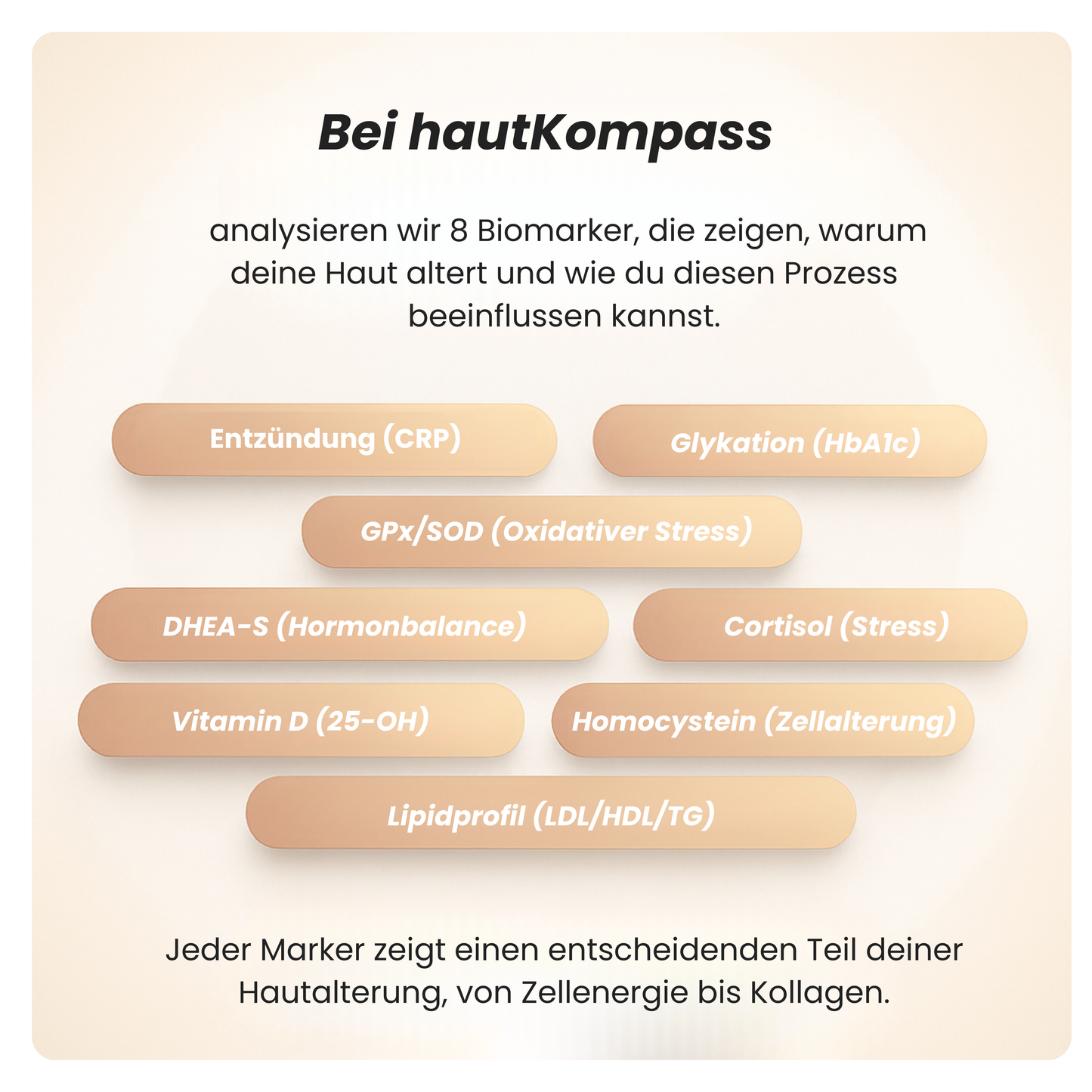 Hautalterungs Ursachen Test