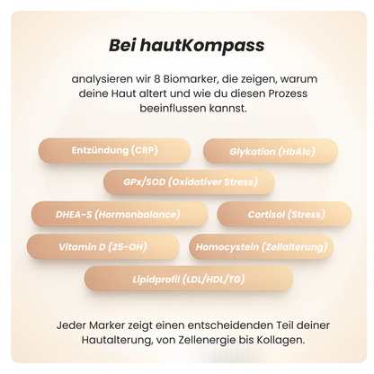 Hautalterungs Ursachen Test