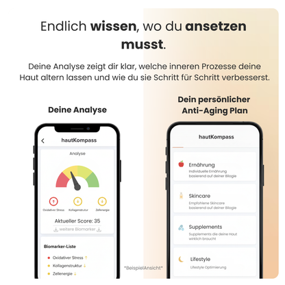 Hautalterungs Ursachen Test